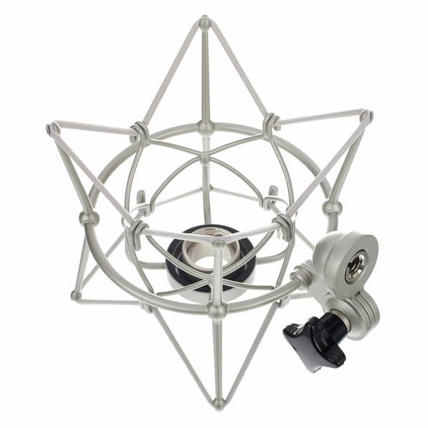 Neumann EA87 Spinne