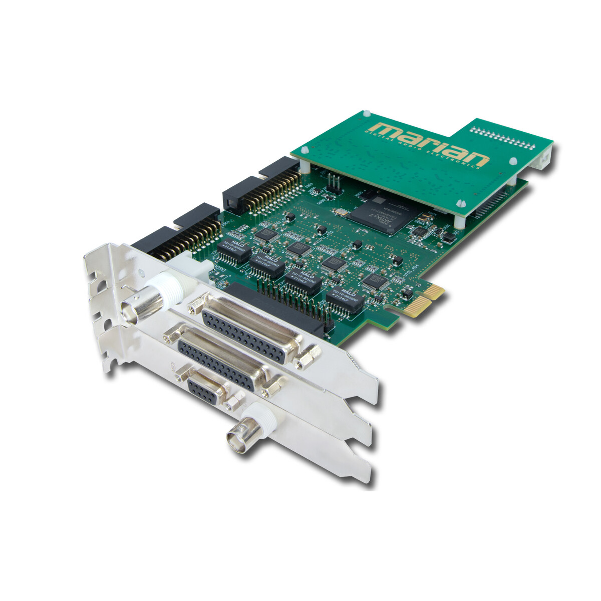 MARIAN Clara Dmaj+ MARIAN Clara Dmaj+