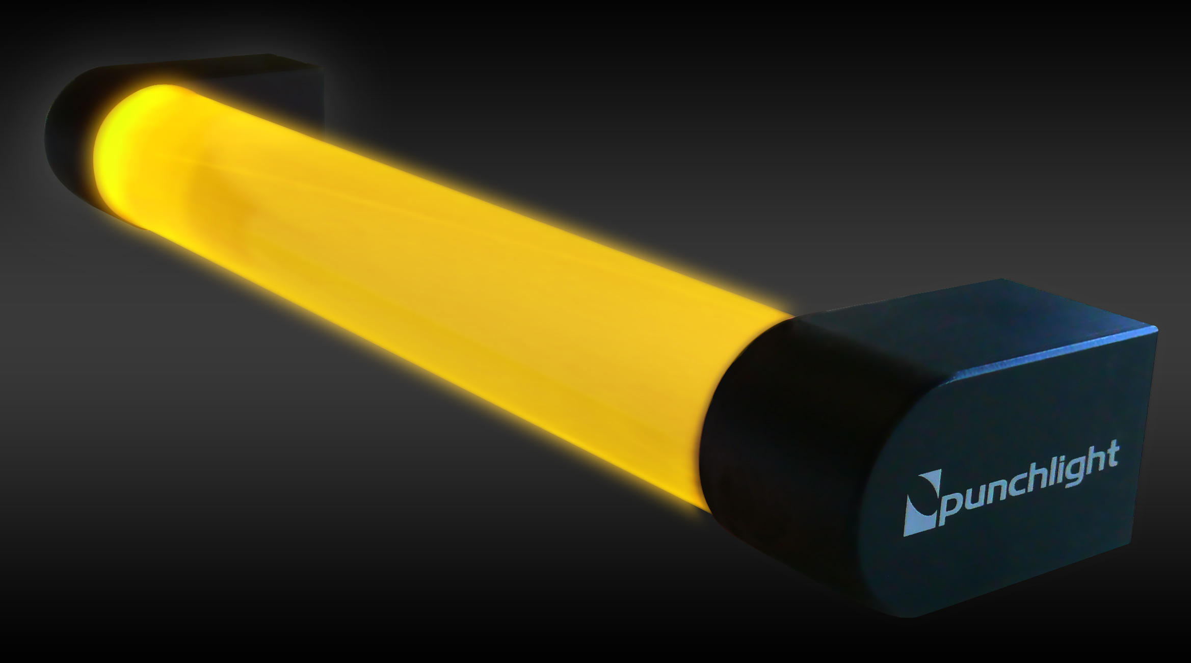 PunchLight Recording Strip PunchLight Recording Strip