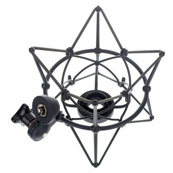 Neumann EA87MT Spinne