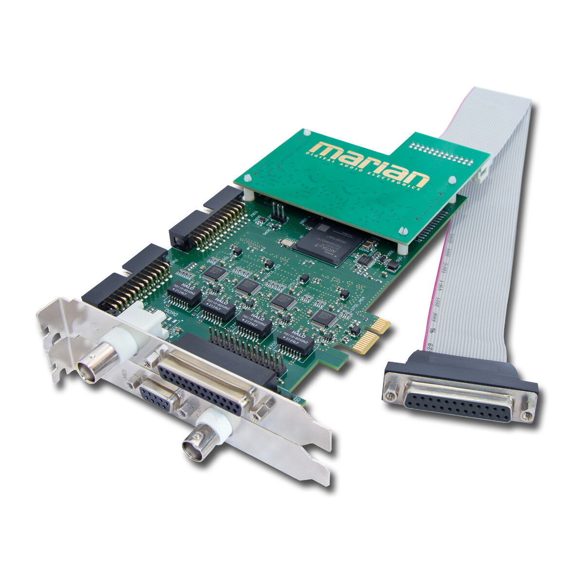 MARIAN Clara Dmaj+ MARIAN Clara Dmaj+